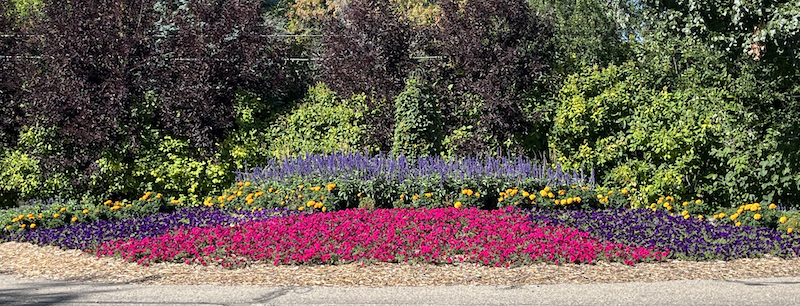 This image has an empty alt attribute; its file name is WCGC-WC-Dr-2024.png