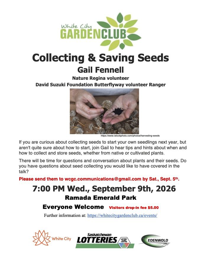 Collecting and Saving Seeds